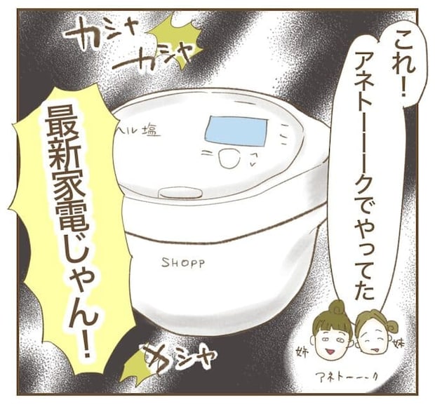 インフルエンサー気取りママ友を成敗した件/ねぼすけ