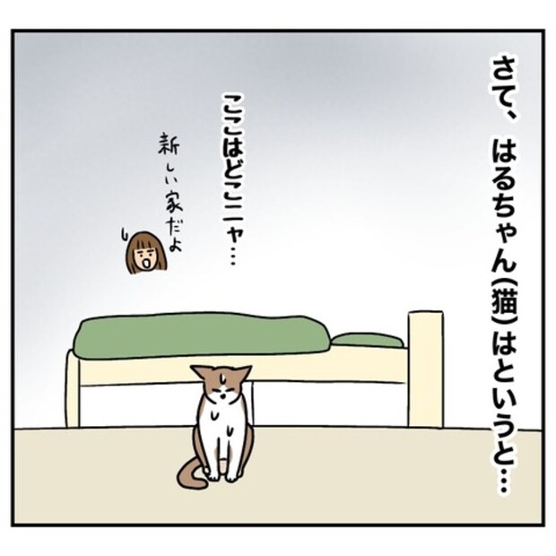 半額一家家を買う7