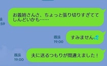 「お義姉さんしんどい」産後、張り切る義姉を重く感じた私は、愚痴を本人に誤送信！→翌日、義姉は…