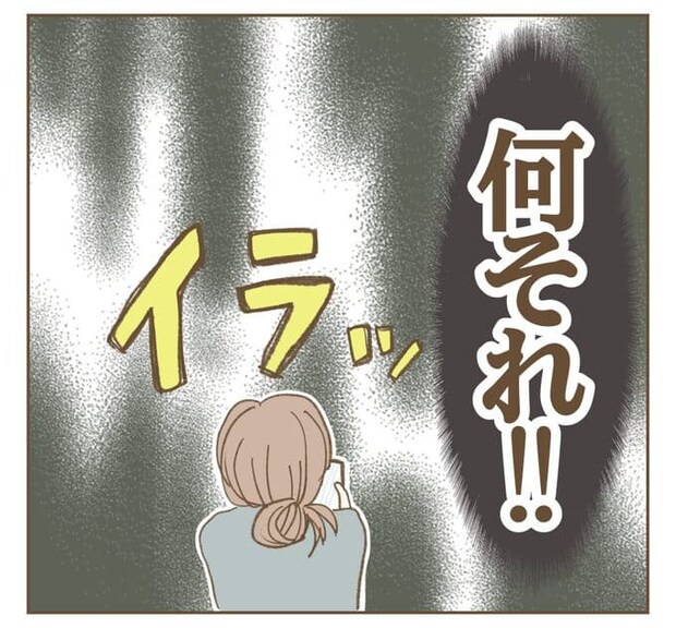 インフルエンサー気取りママ友を成敗した件／ねぼすけ