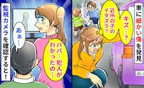 「近所の子のイタズラ？」車に無数の傷！家族は心当たりなし→監視カメラ確認し絶句！笑う夫…犯人は…
