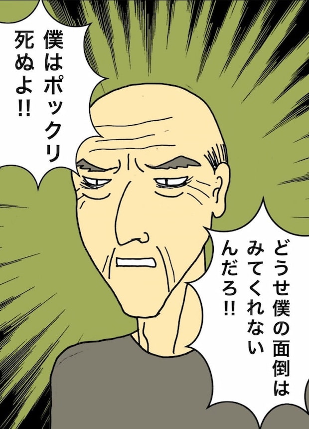 母の認知症介護日記／ワフウフ