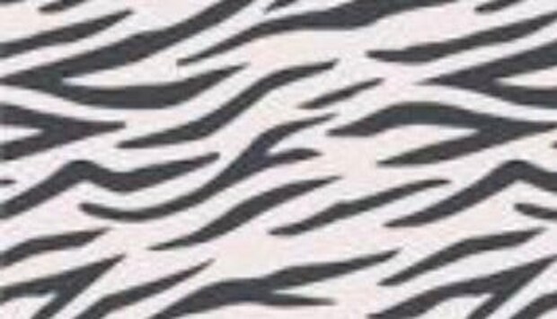 母の認知症介護日記／ワフウフ