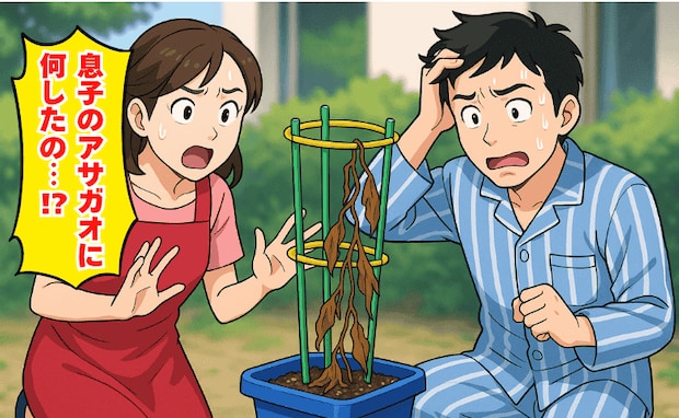夫が息子のアサガオを枯れさせた!体調不良の息子に代わって水やりしただけなのに→衝撃の理由が発覚!
