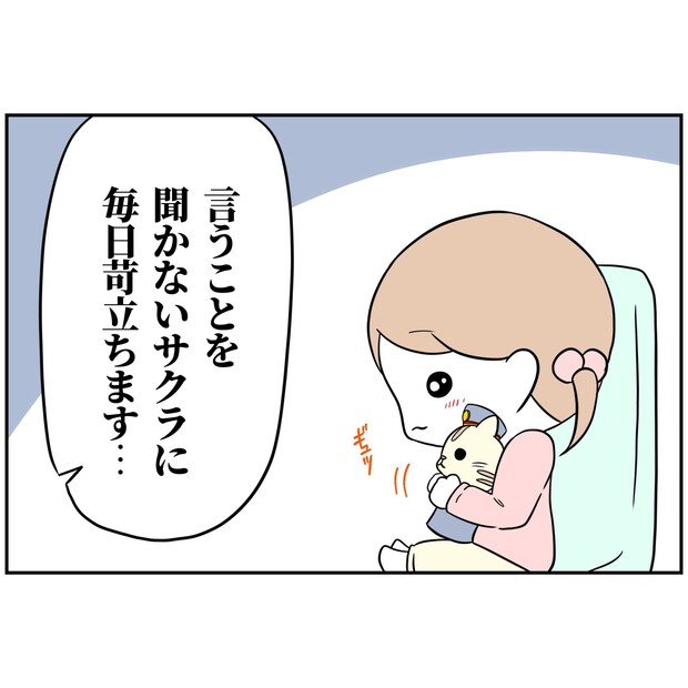 よういち／趣味優先夫