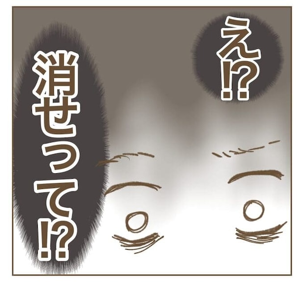 インフルエンサー気取りママ友を成敗した件／ねぼすけ