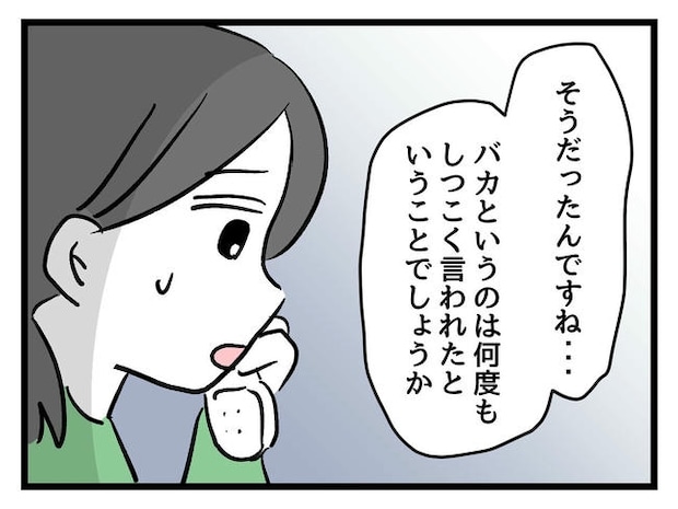 神谷もち/私はモンペじゃありません