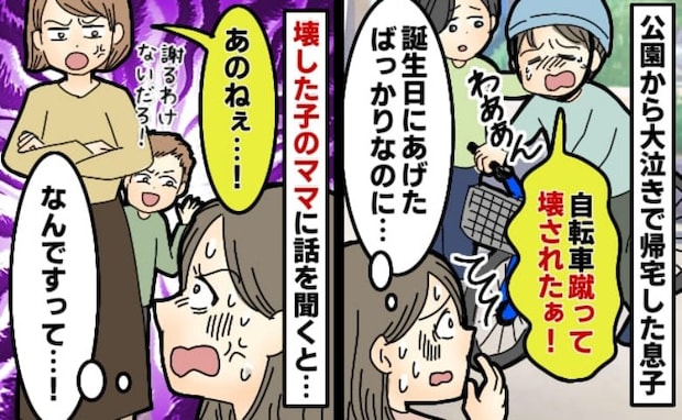 「自転車が壊された！」泣きじゃくる息子→壊した男の子のママが「うちの子は悪くない！」その言い訳