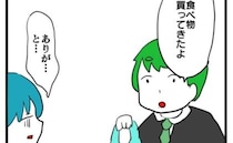 「あれ？私の分…」体調を崩し夕食を買ってきてと頼んだ私→夫の行動にイラッ＜体調悪いアピール旦那＞