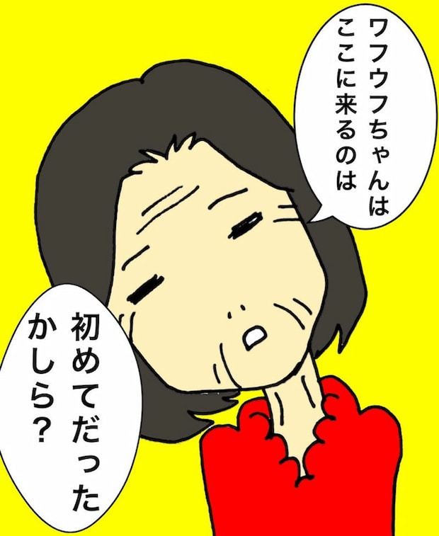 母の認知症介護日記/ワフウフ