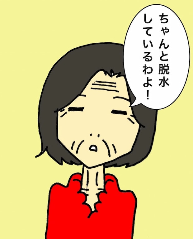 母の認知症介護日記/ワフウフ