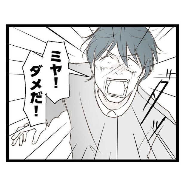 歪んだ愛〜レス夫婦の末路〜／くろねこ