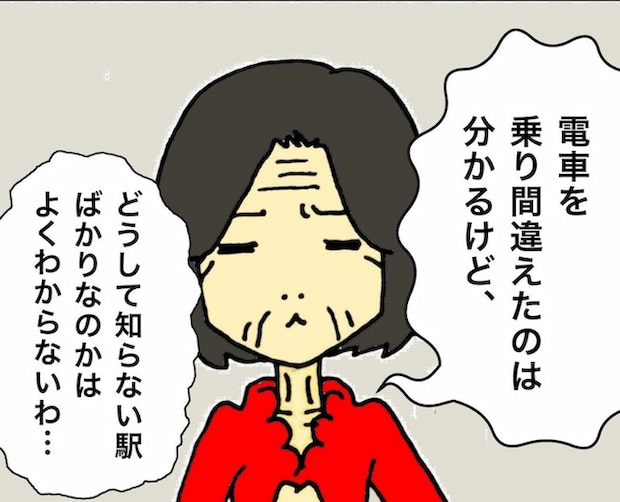 母の認知症介護日記／ワフウフ