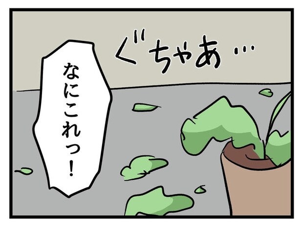 いい加減にしなさい！／神谷もち