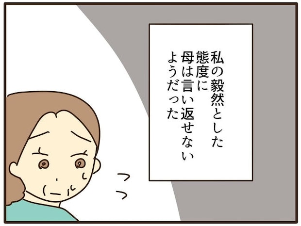 実母の浪費が怖すぎる/山野しらす