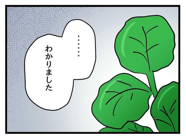 神谷もち/私はモンペじゃありません