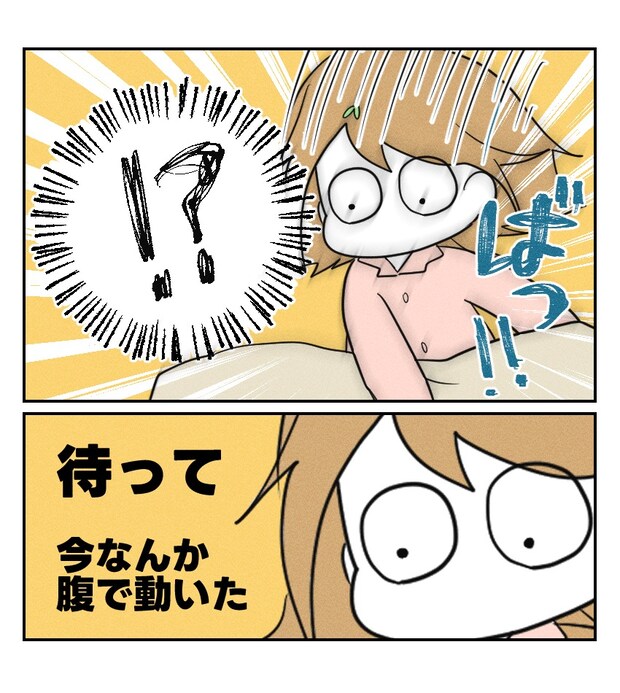 不妊治療で妊娠した私の妊娠記録／kiki