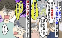 「洗ってないから洗濯してね」義母が着払いで送りつけた物は…猫の毛まみれの古着！？夫がビシッと一言