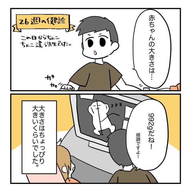 不妊治療で妊娠した私の妊娠記録/kiki