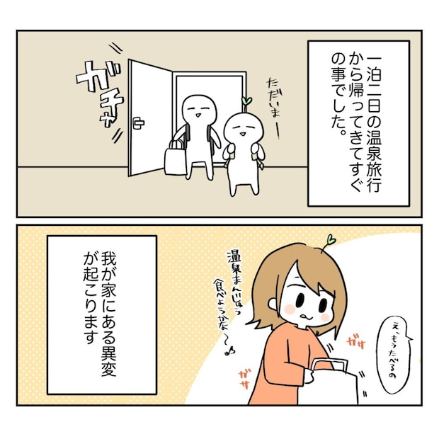 不妊治療で妊娠した私の妊娠記録/kiki