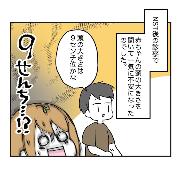不妊治療で妊娠した私の妊娠記録/kiki