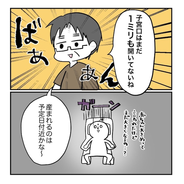 不妊治療で妊娠した私の妊娠記録/kiki