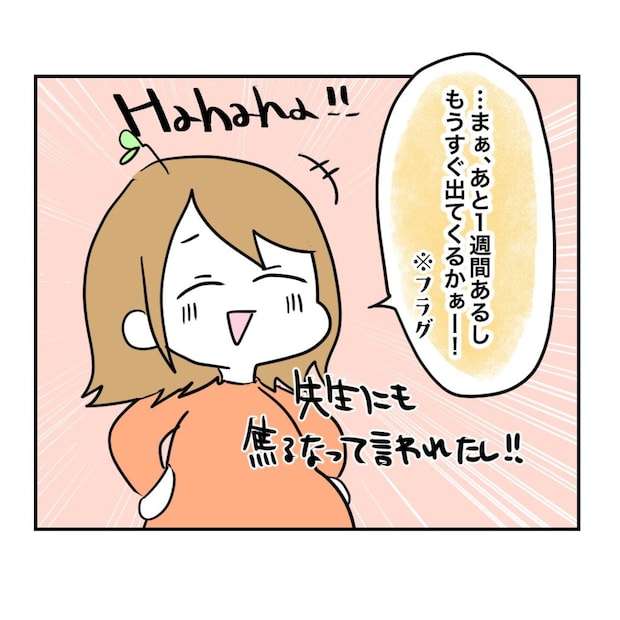 不妊治療で妊娠した私の妊娠記録／kiki