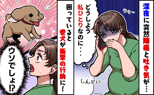 体験談まとめ