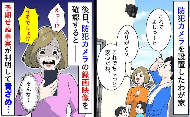 「え、嘘でしょ…！？」うちの庭に勝手に入り、花壇に何かを埋める人物…防犯カメラでわかった真相とは