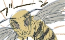 「うちがやるしかない」隣家の蜂の巣駆除⇒小さいので平気かと思いきや！？＜となりの庭に泣かされた＞