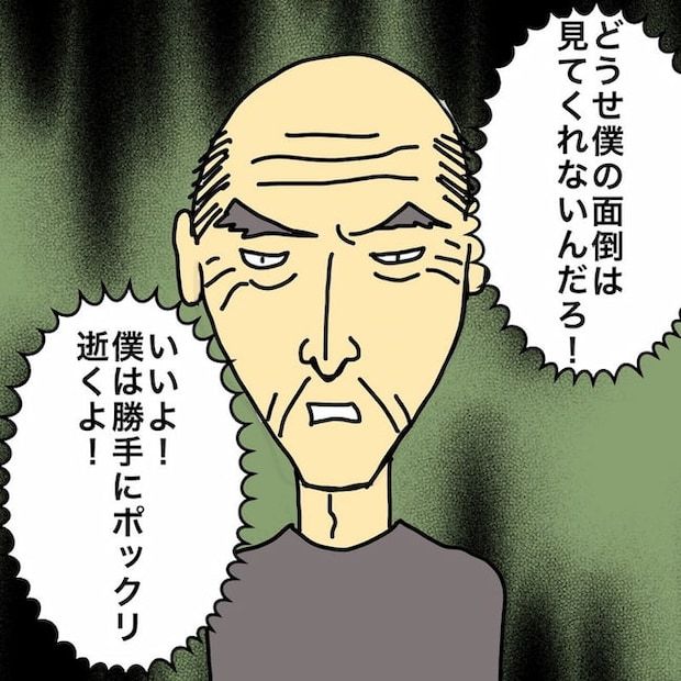 母の認知症介護日記/ワフウフ