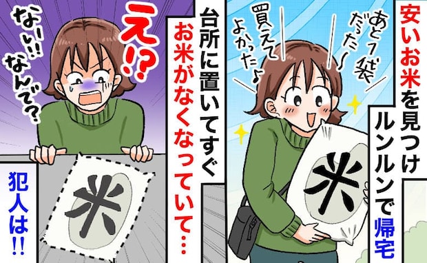 義母「離婚して出てけ！」特売で購入した米が消え驚愕→最後の１袋が…義母を問い詰めると激怒！実は