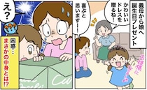 義母「かわいいドレス贈るね♡」娘の誕生日に届いたプレゼント→中身に驚愕！家族全員が困惑したワケ