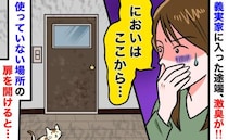 「うっ…クサい！」義実家の玄関から悪臭が…勇気を出して“使っていない扉”を開けると臭いの元が判明