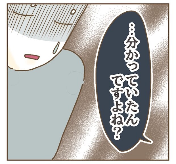 インフルエンサー気取りママ友の末路／ねぼすけ