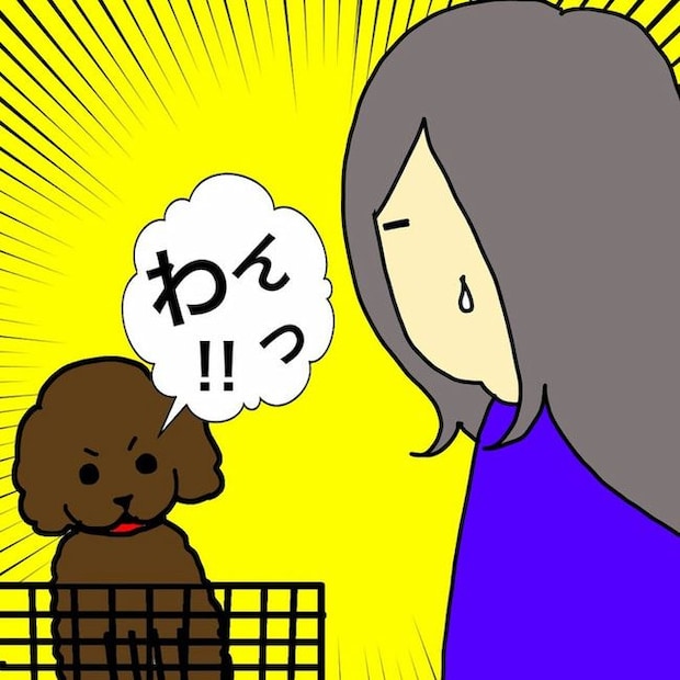 母の認知症介護日記/ワフウフ