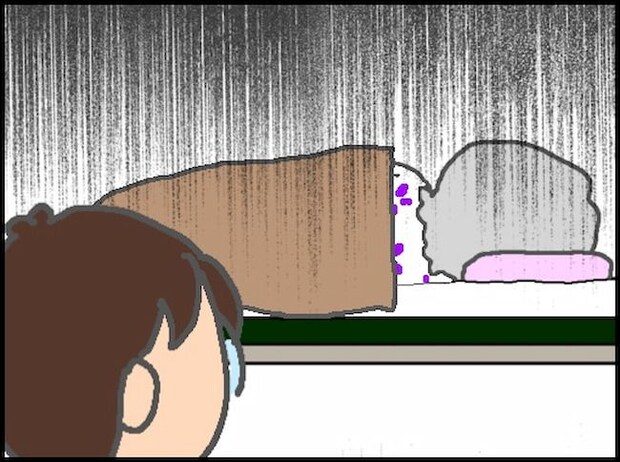 頑張り過ぎない介護/まる子