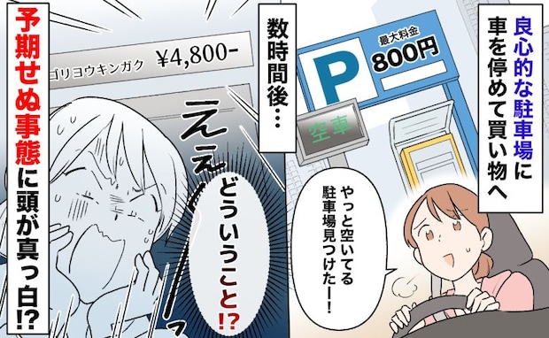「最大800円」の駐車場に車を停めて買い物→数時間後、精算機に「4800円」の表示…頭が真っ白に