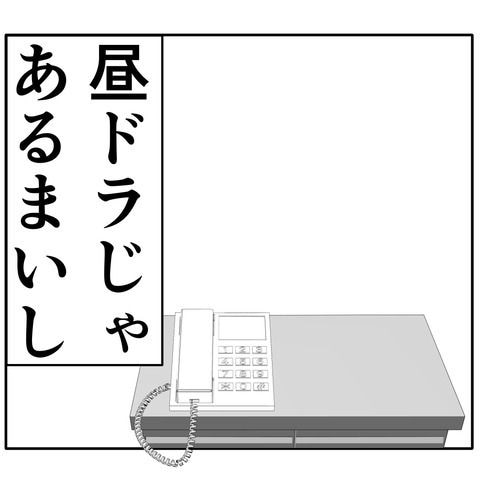 離婚届を勝手に提出された話／岡田ももえ