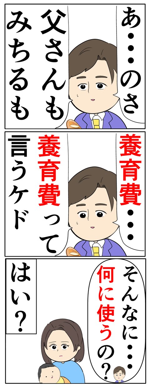 離婚届を勝手に提出された話／岡田ももえ