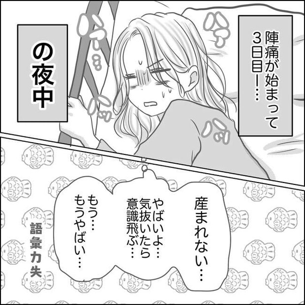 思ってたんと違った出産レポ／Reina