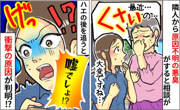 お隣で原因不明の悪臭！？→わが家にもハエの大群が…「キャー！ヒドい」ニオイの元は思わぬところに！