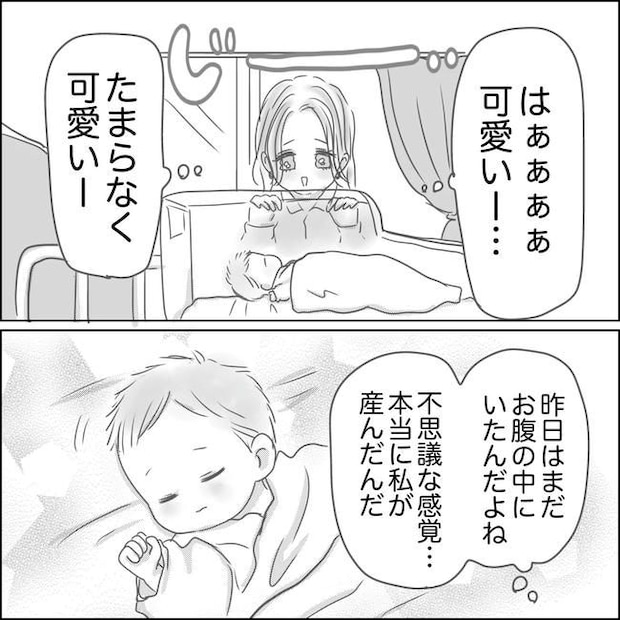 思ってたんと違った出産レポ／Reina