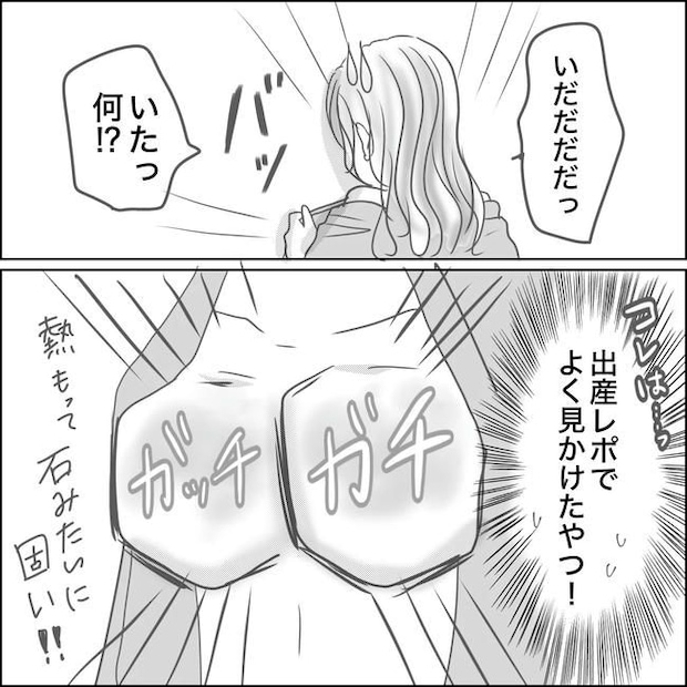 思ってたんと違った出産レポ／Reina