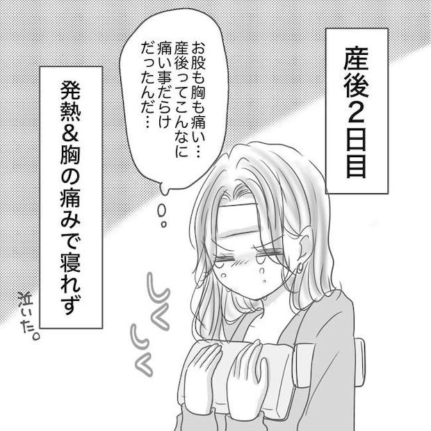 思ってたんと違った出産レポ/Reina