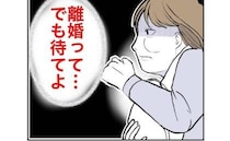 産後の妻「離婚して僕と再婚して！」元彼の猛アピールに揺れる『打算的な理由』は？＜隣人は略奪妻＞