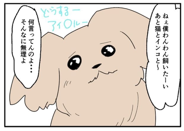 こどおじ義兄は家族ですか？／音坂ミミコ