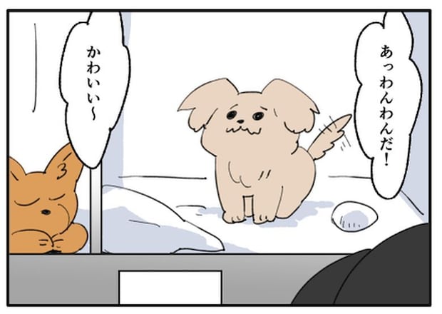 こどおじ義兄は家族ですか？／音坂ミミコ