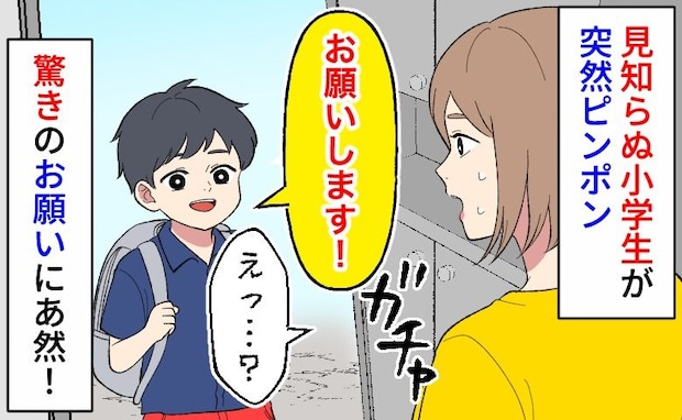 ピンポーン「お願いします！」見知らぬ小学生が突然訪問…え？予想外の要求にあ然！