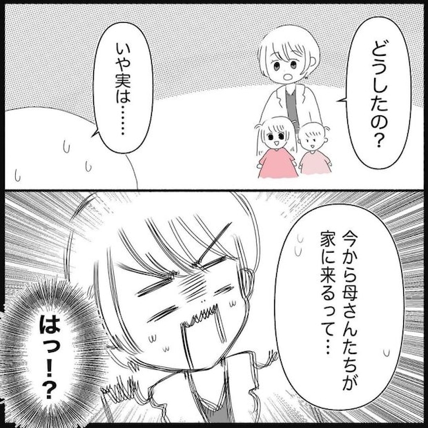 義父母と義妹親子が嫌だ 14